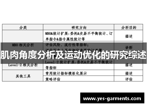 肌肉角度分析及运动优化的研究综述