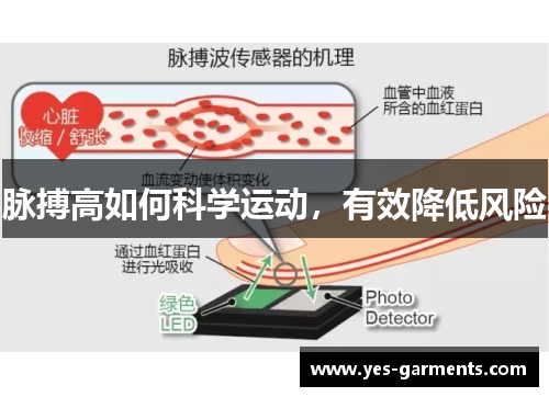 脉搏高如何科学运动，有效降低风险